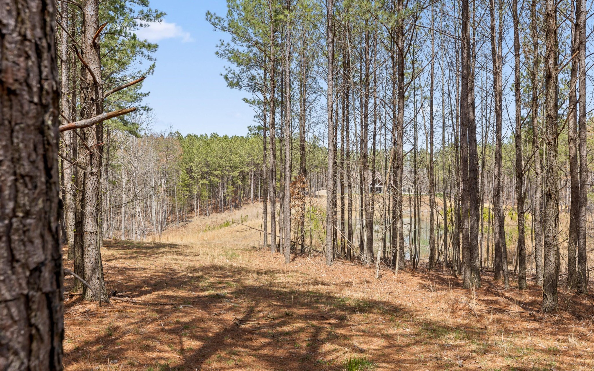 344 Waterwheel Way Property Photo 6