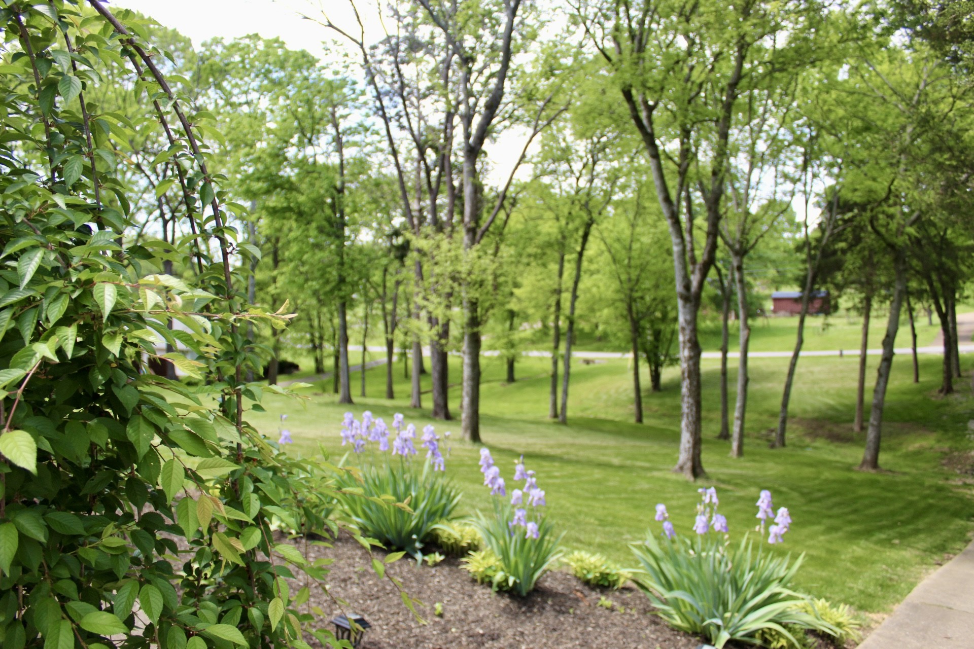 1411 Newmans Trl Property Photo 35