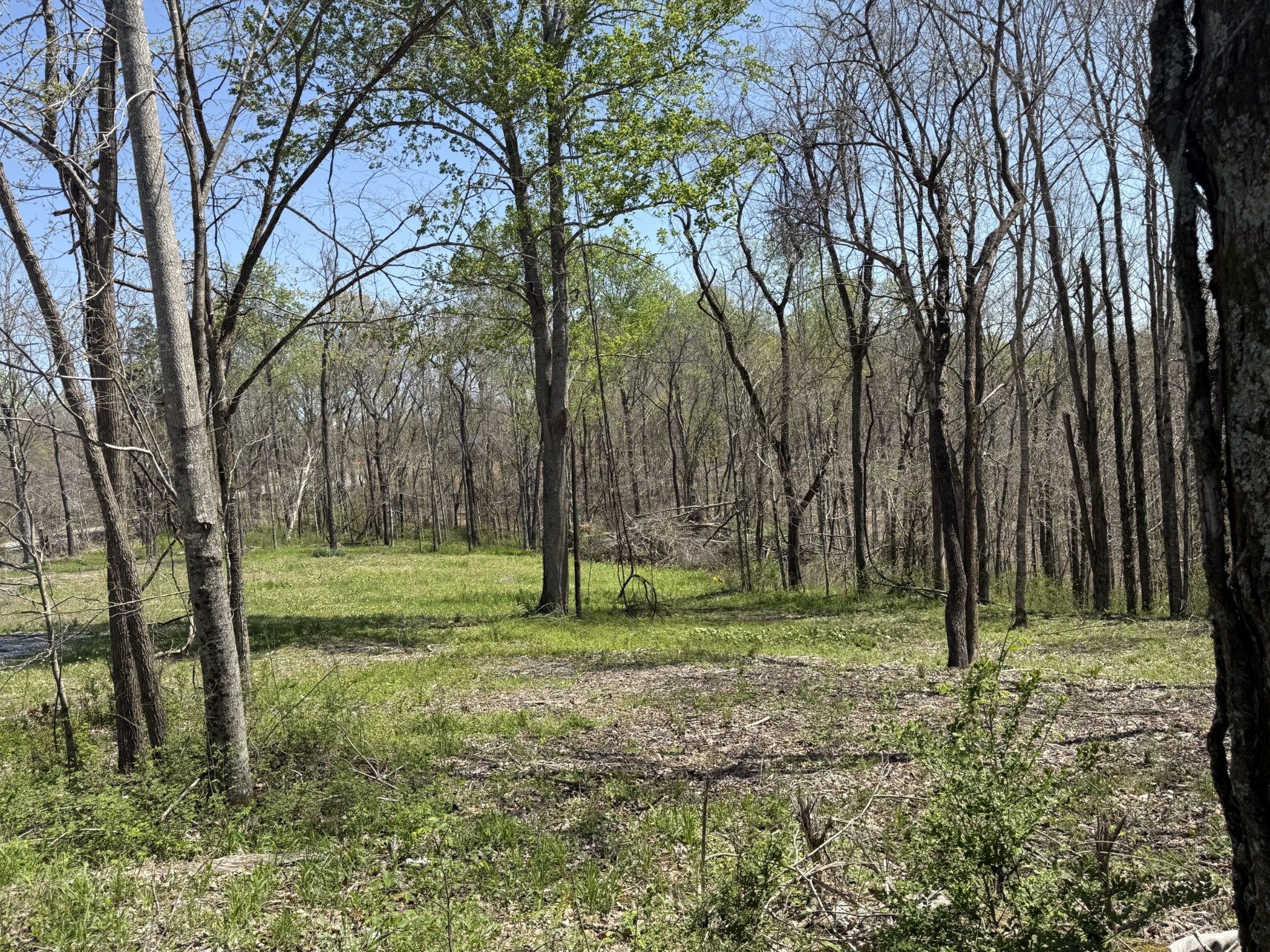 0 Highway 49, E Property Photo 1