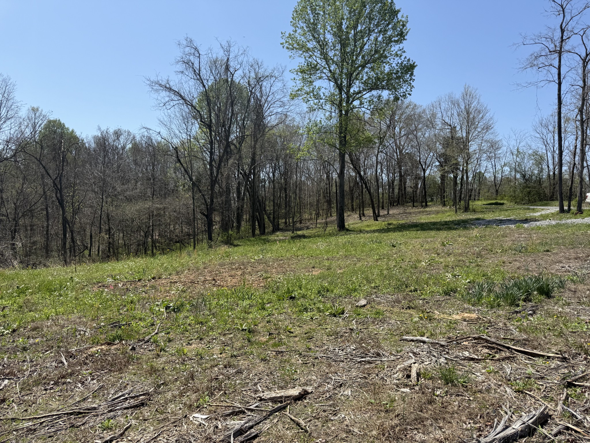 0 Highway 49, E Property Photo 2