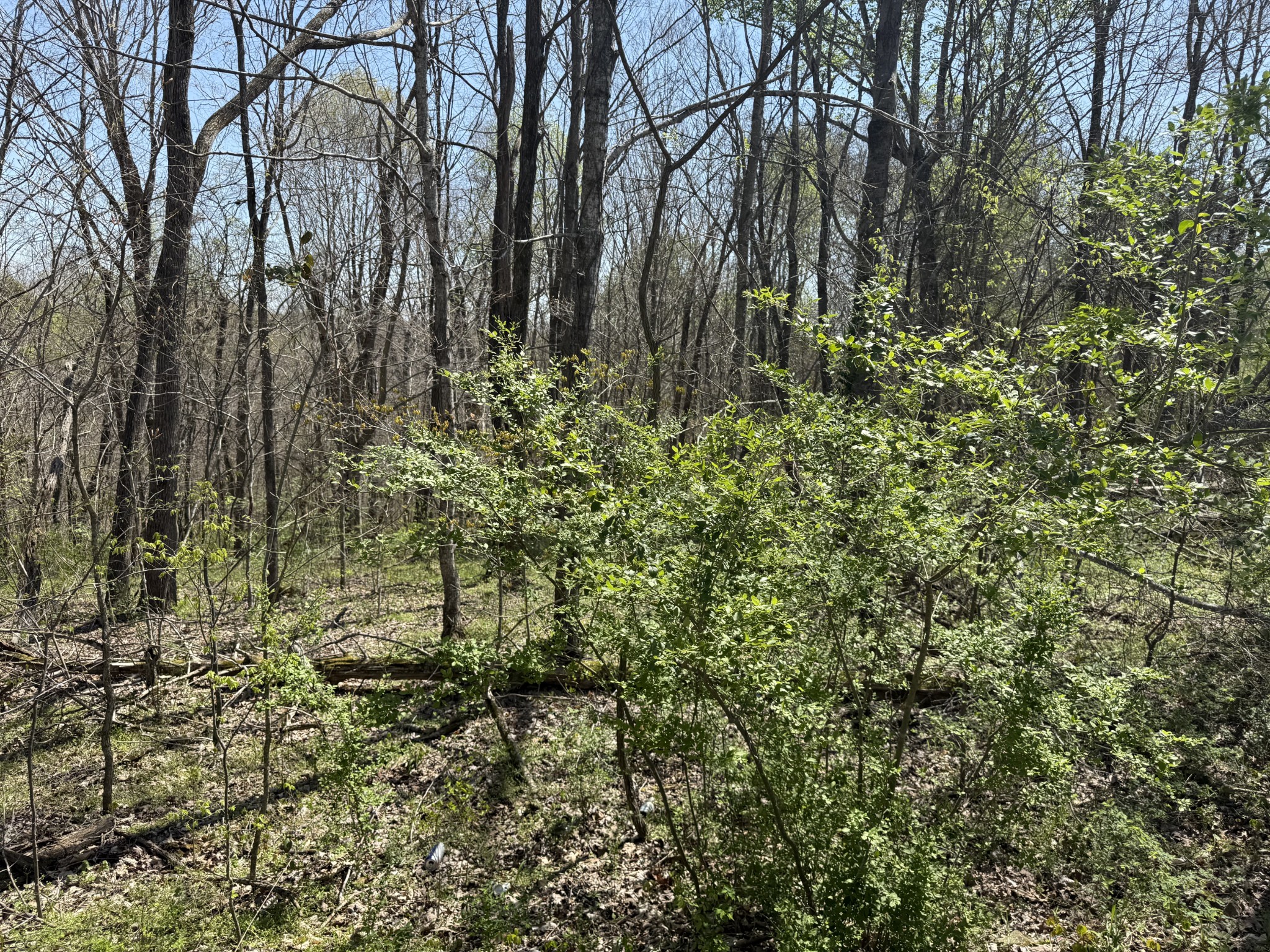 0 Highway 49, E Property Photo 3