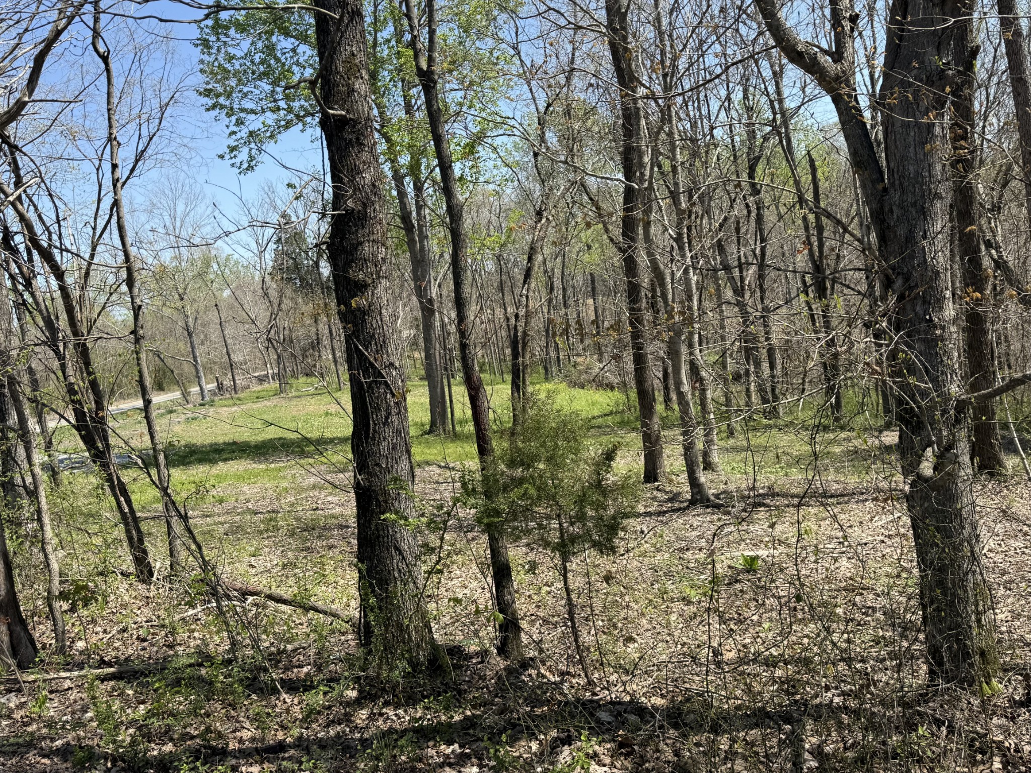 0 Highway 49, E Property Photo 4