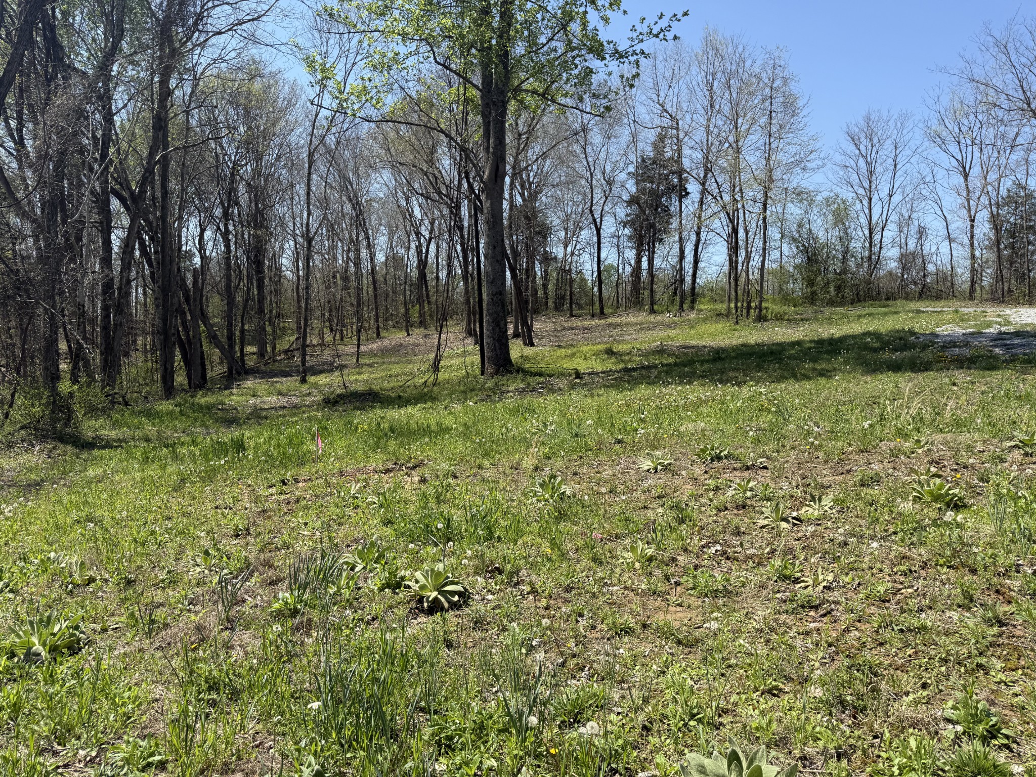 0 Highway 49, E Property Photo 6