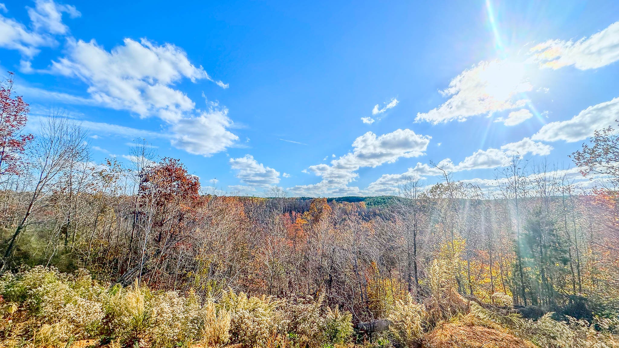0 Lick Creek Road Property Photo