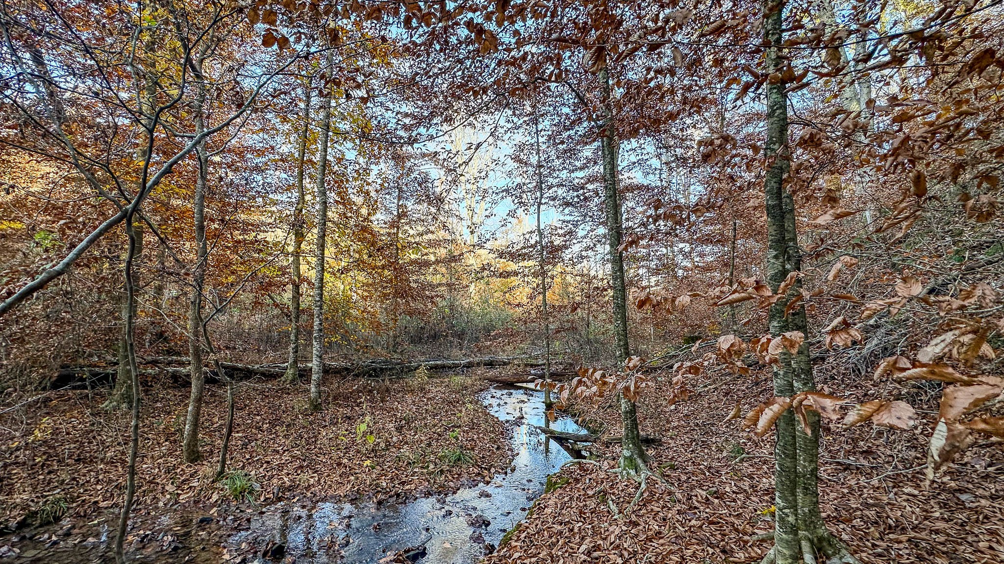 0 Lick Creek Road Property Photo 6