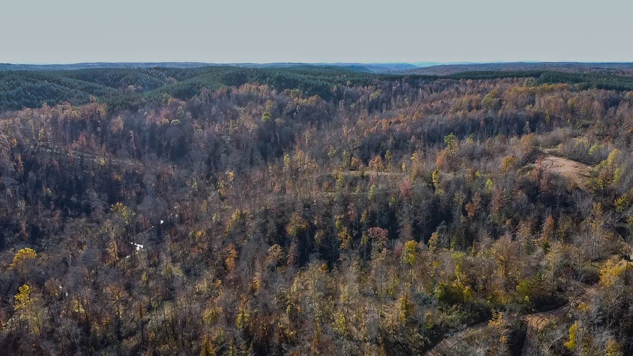 0 Lick Creek Road Property Photo 8