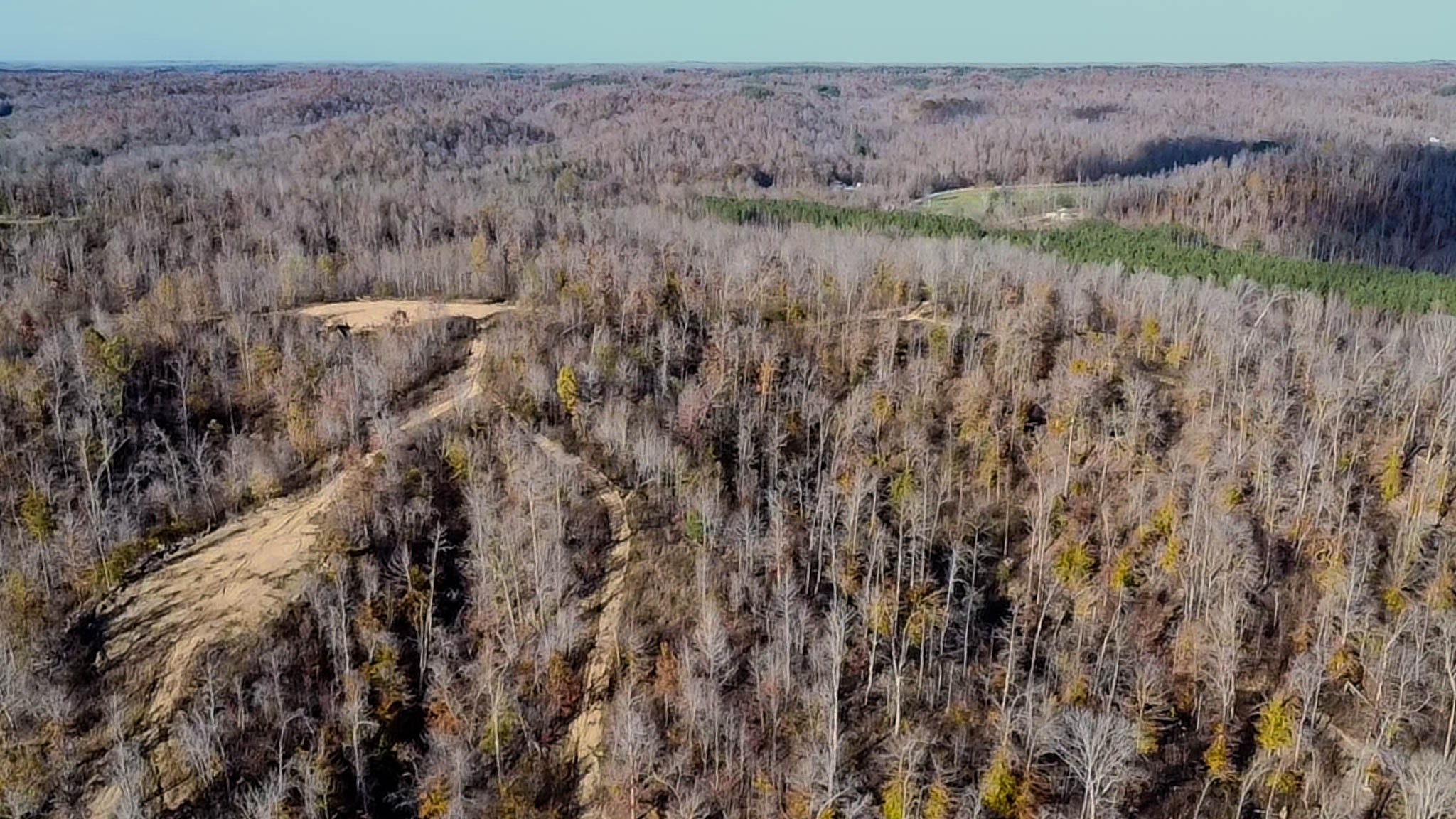 0 Lick Creek Road Property Photo 9
