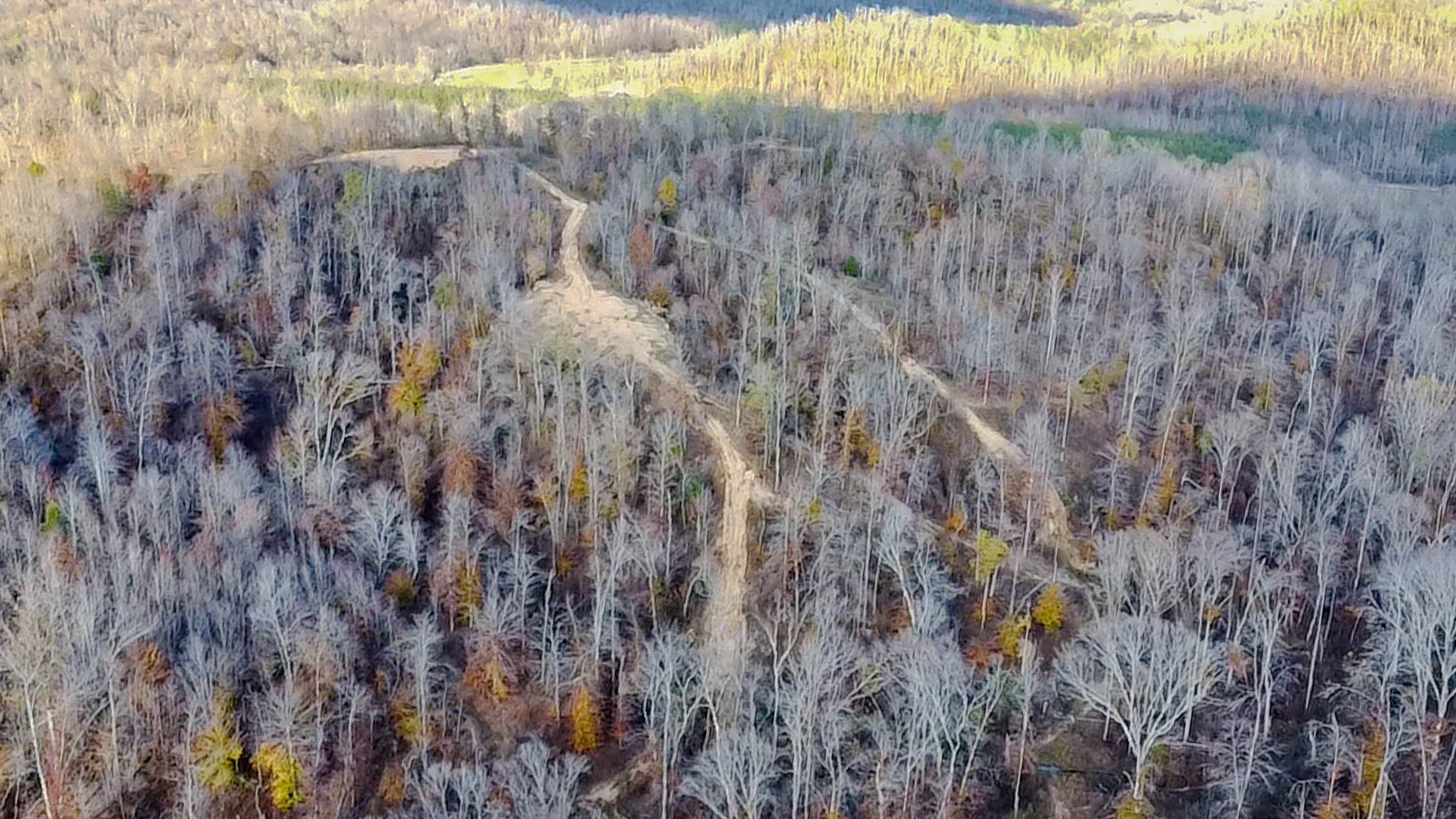 0 Lick Creek Road Property Photo 10