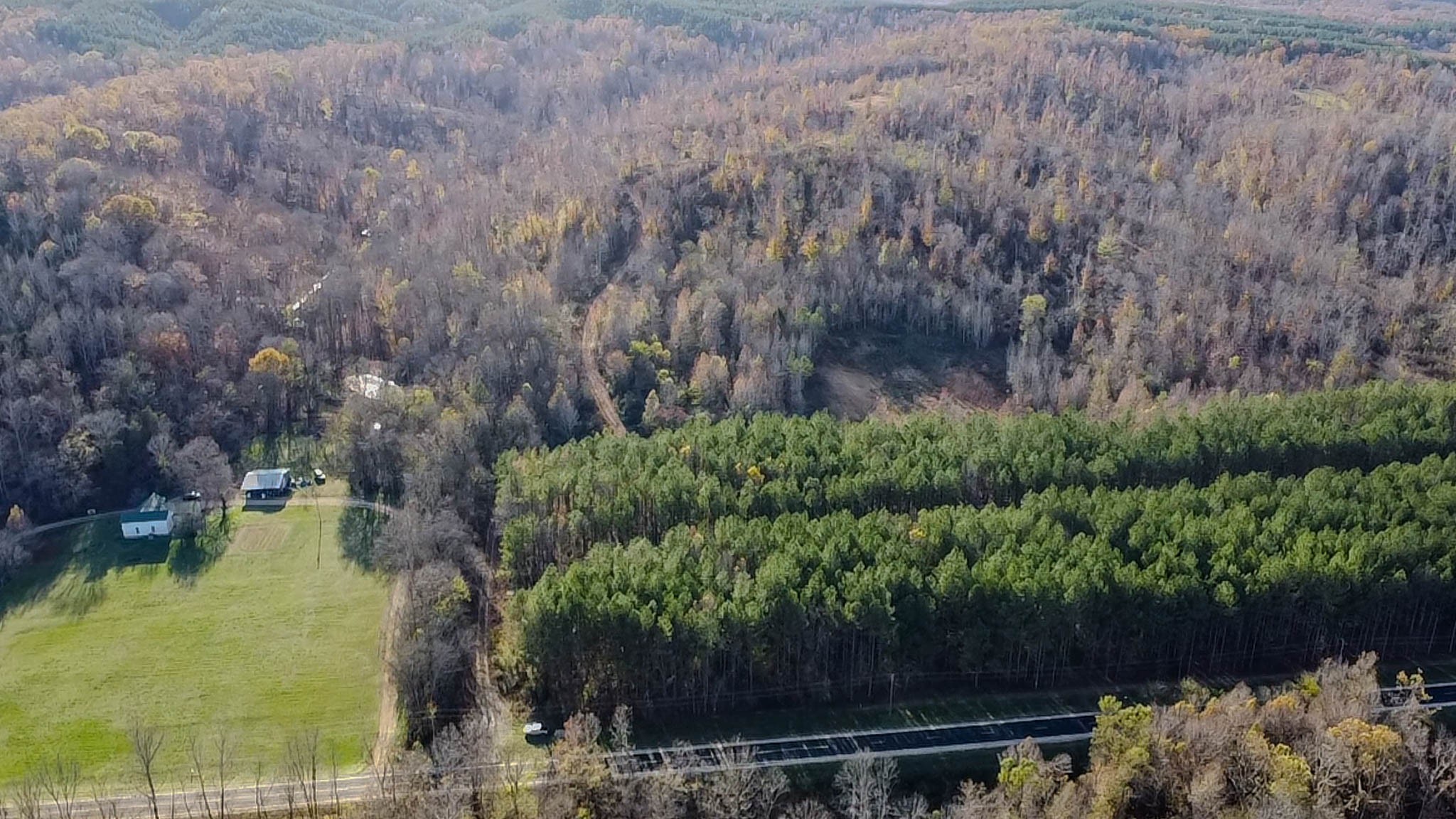 0 Lick Creek Road Property Photo 13