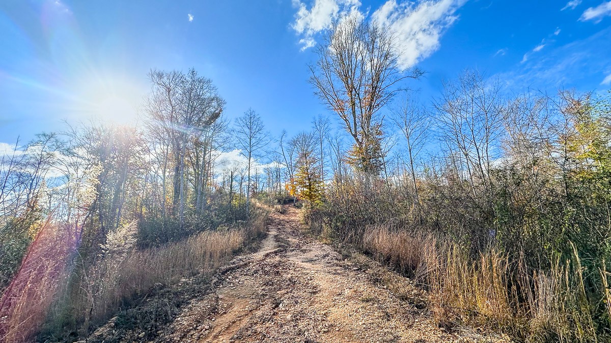 0 Lick Creek Road Property Photo 14