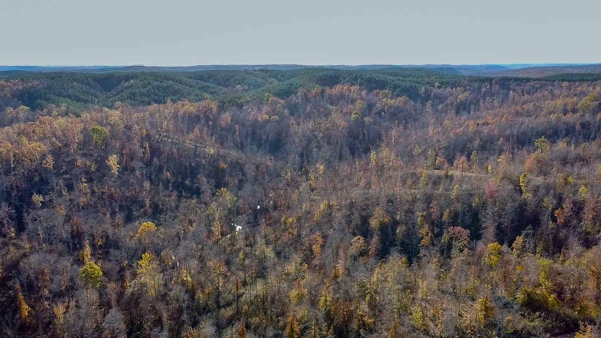 0 Lick Creek Road Property Photo 21