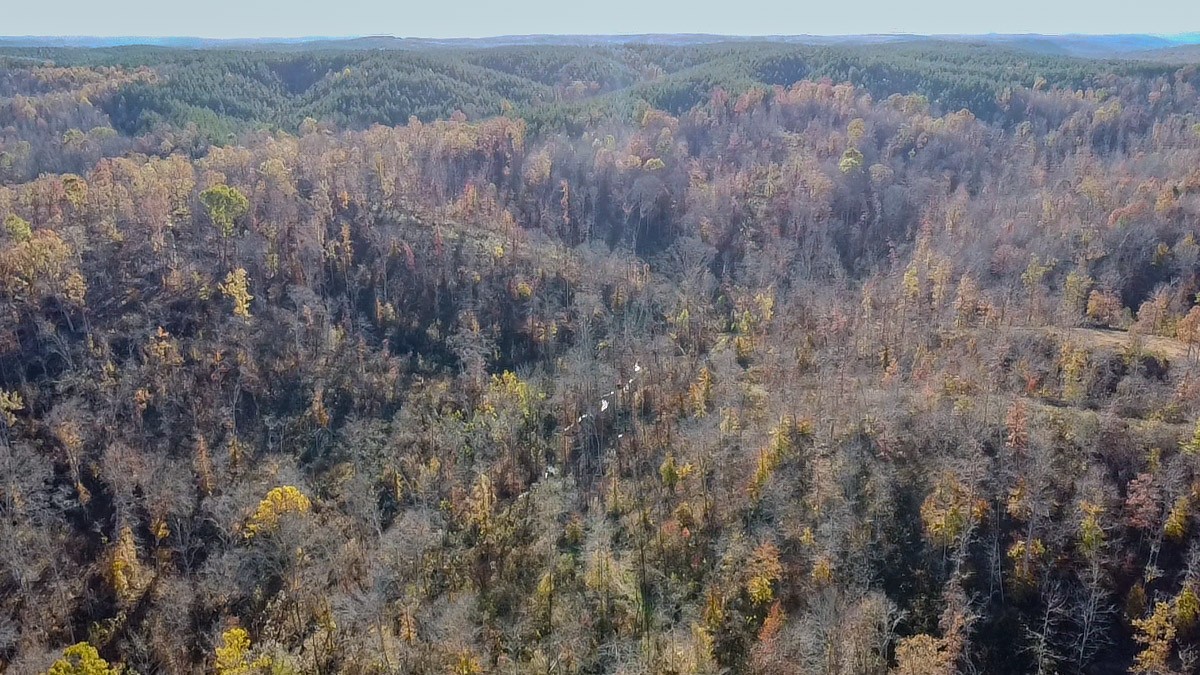 0 Lick Creek Road Property Photo 22
