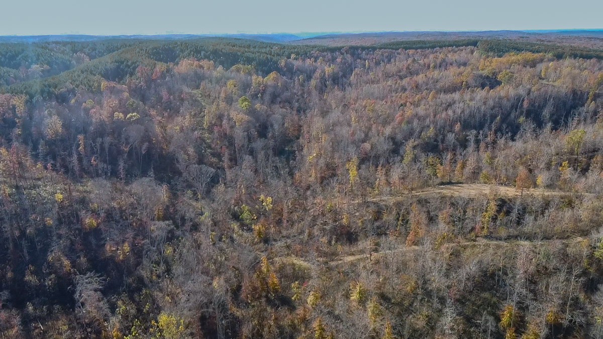 0 Lick Creek Road Property Photo 23