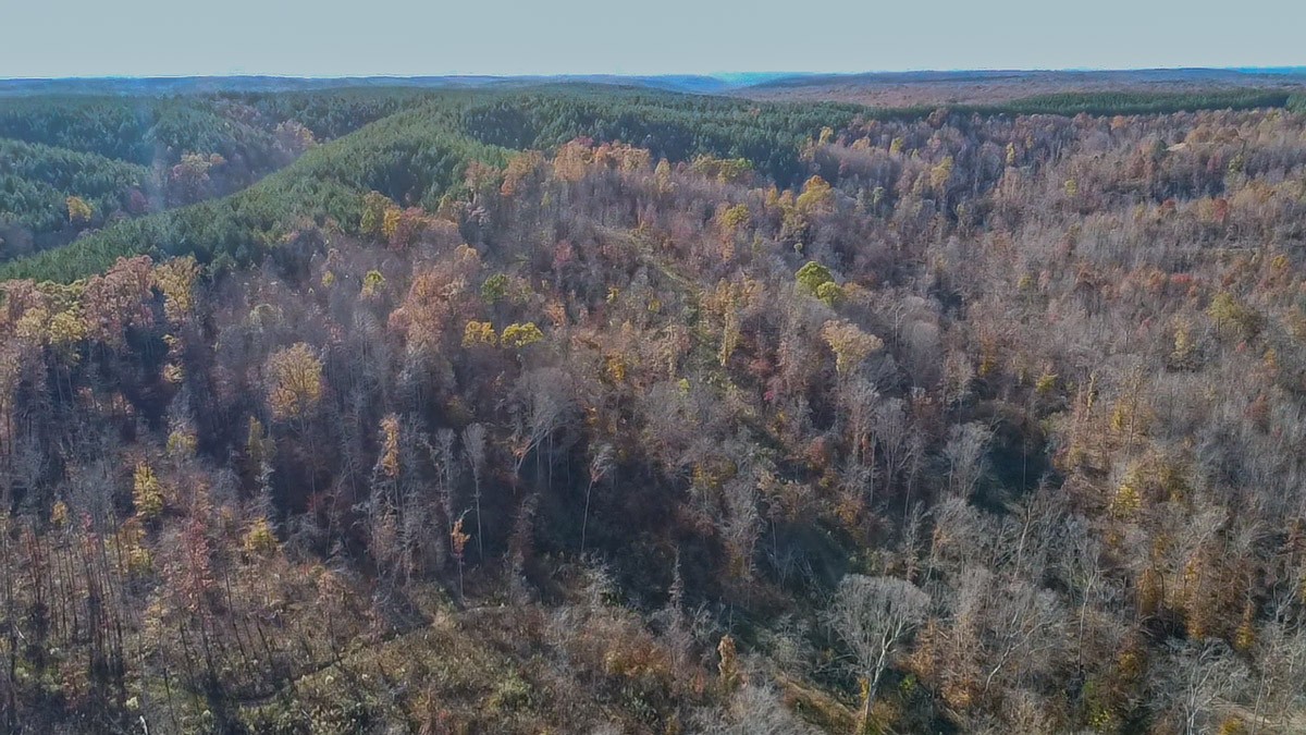 0 Lick Creek Road Property Photo 24