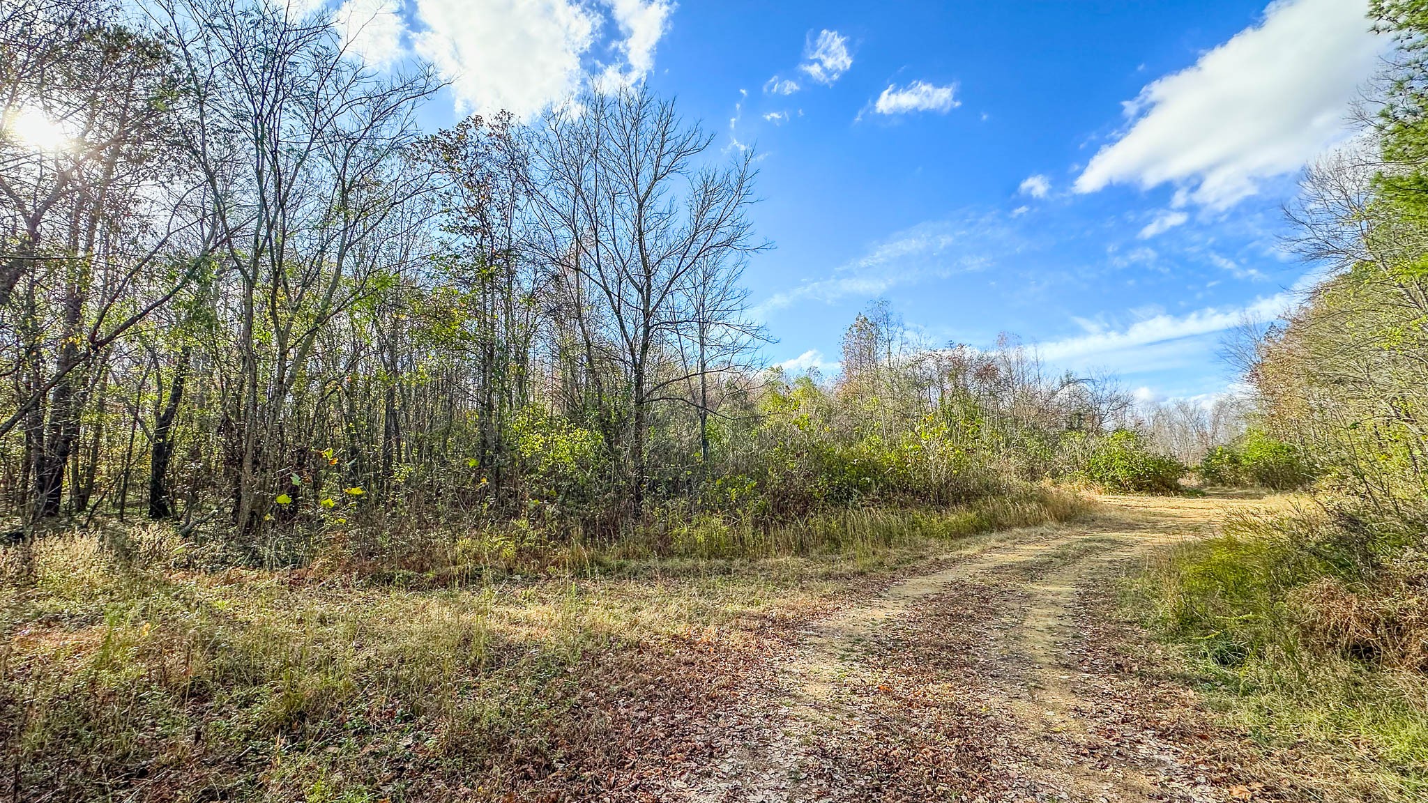 0 Lick Creek Road Property Photo 26