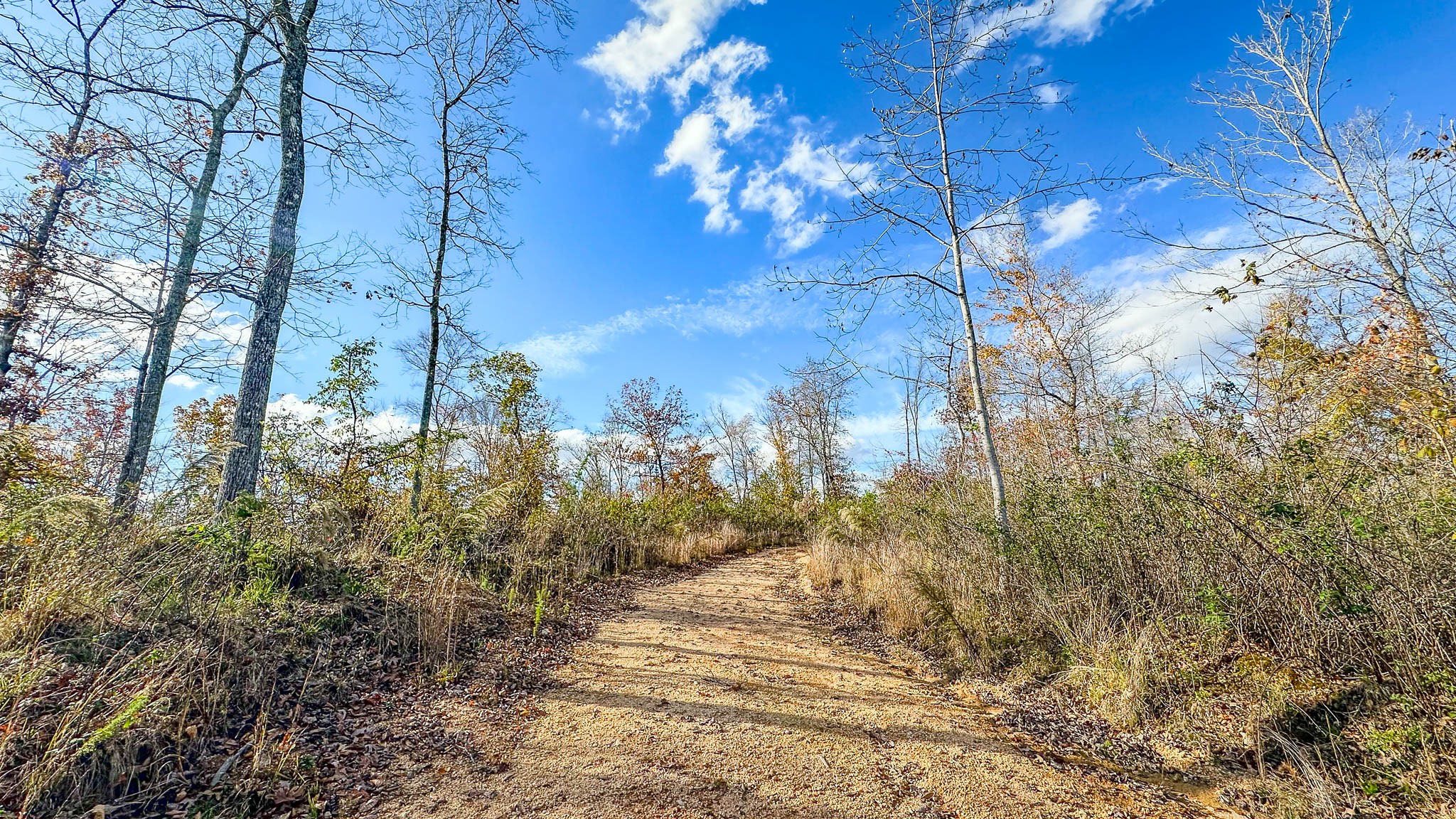 0 Lick Creek Road Property Photo 27