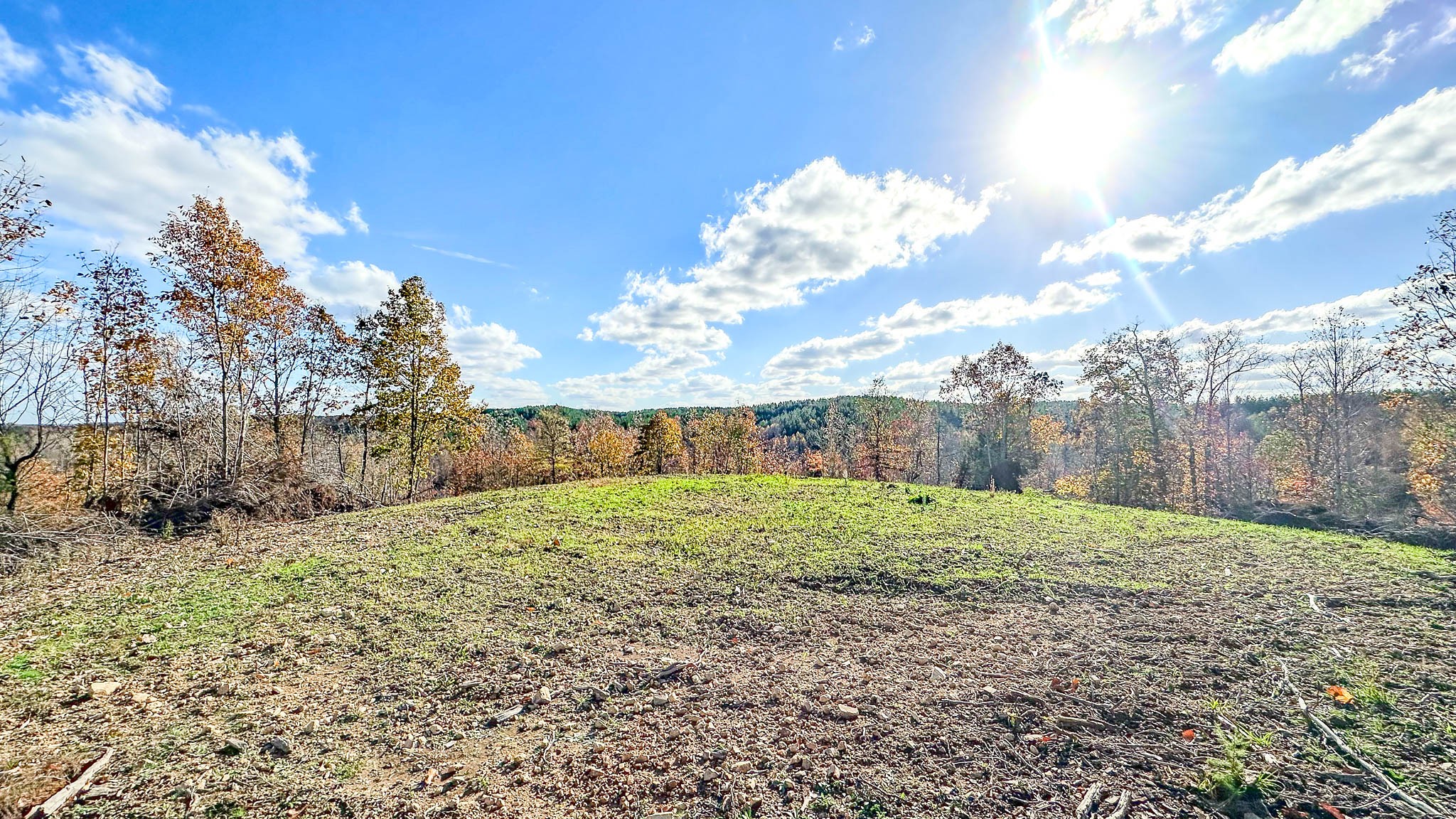 0 Lick Creek Road Property Photo