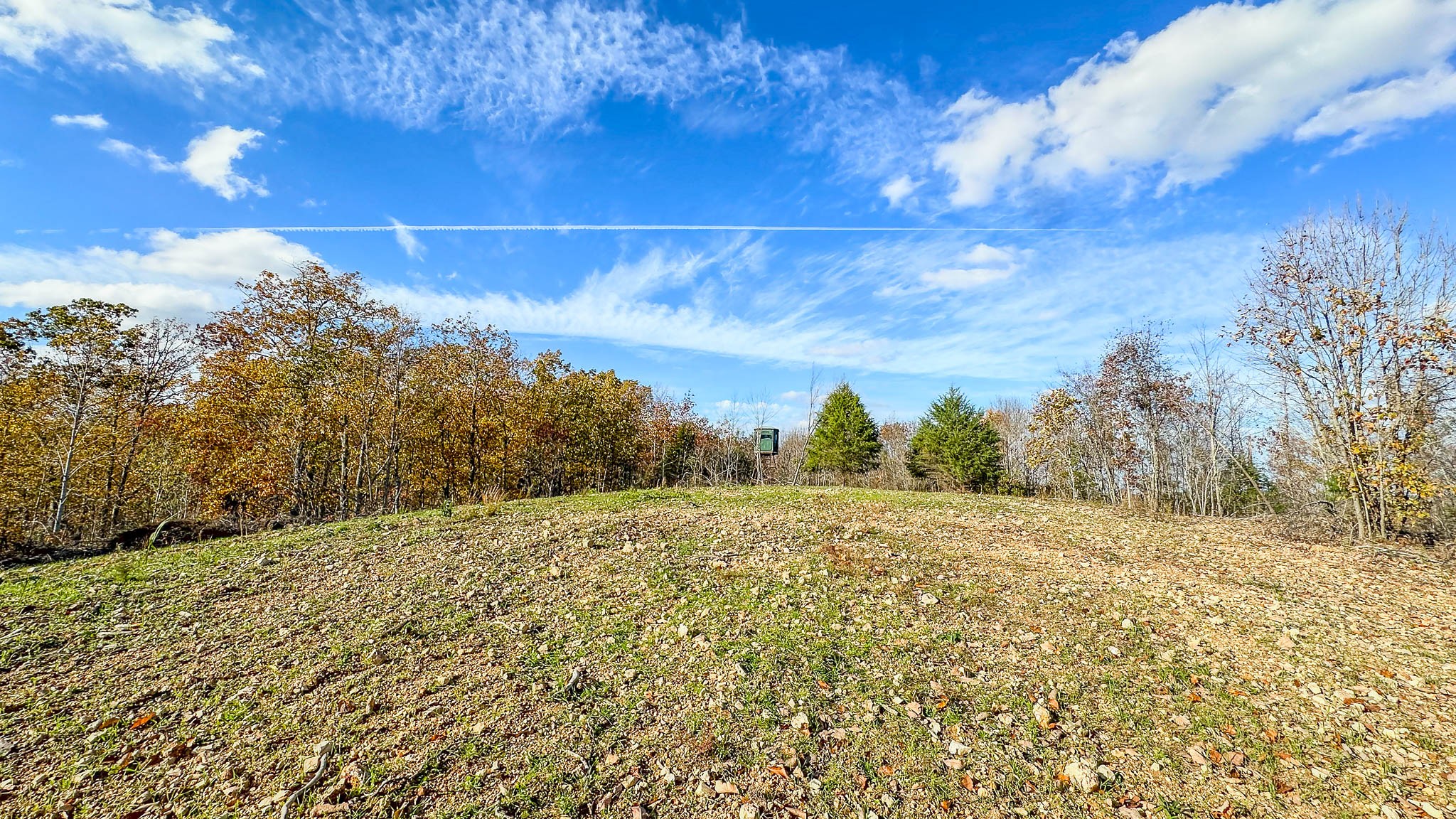 0 Lick Creek Road Property Photo 2