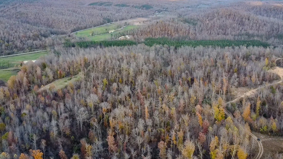 0 Lick Creek Road Property Photo 6