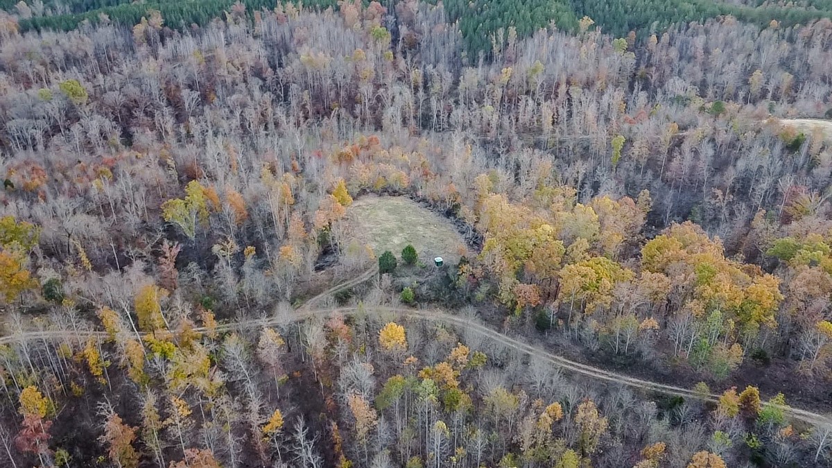 0 Lick Creek Road Property Photo 8