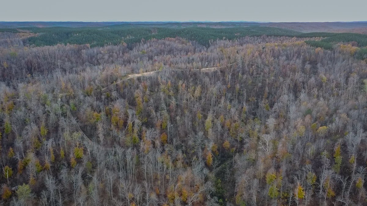 0 Lick Creek Road Property Photo 10