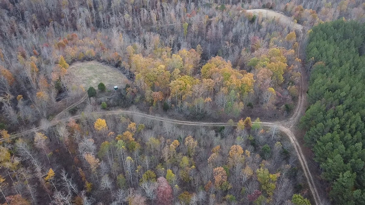 0 Lick Creek Road Property Photo 11