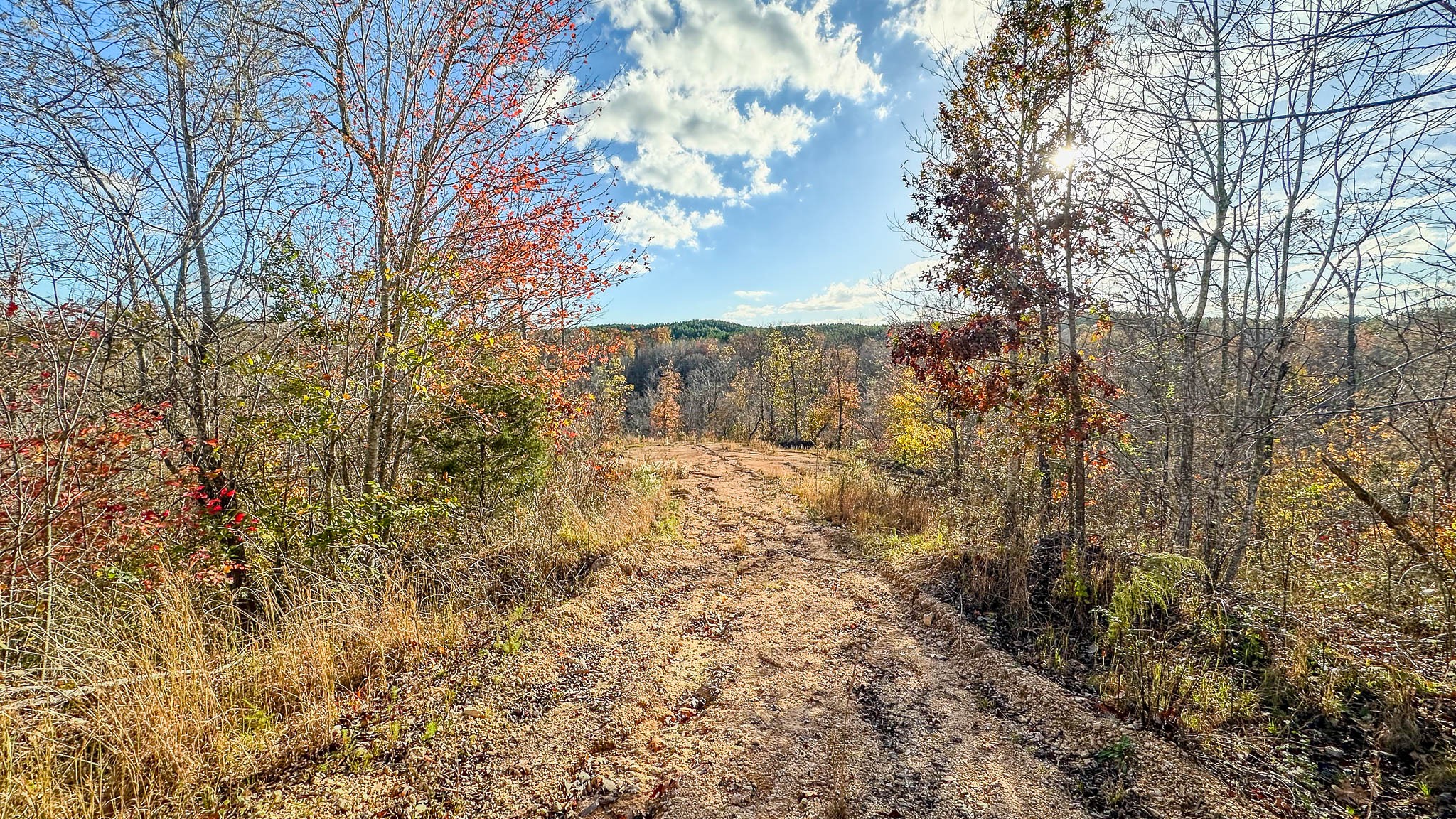 0 Lick Creek Road Property Photo 13