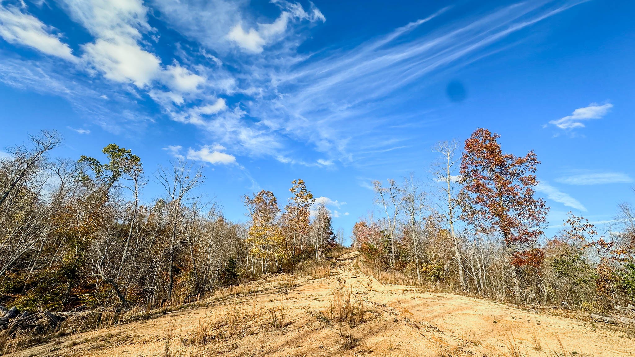 0 Lick Creek Road Property Photo 14
