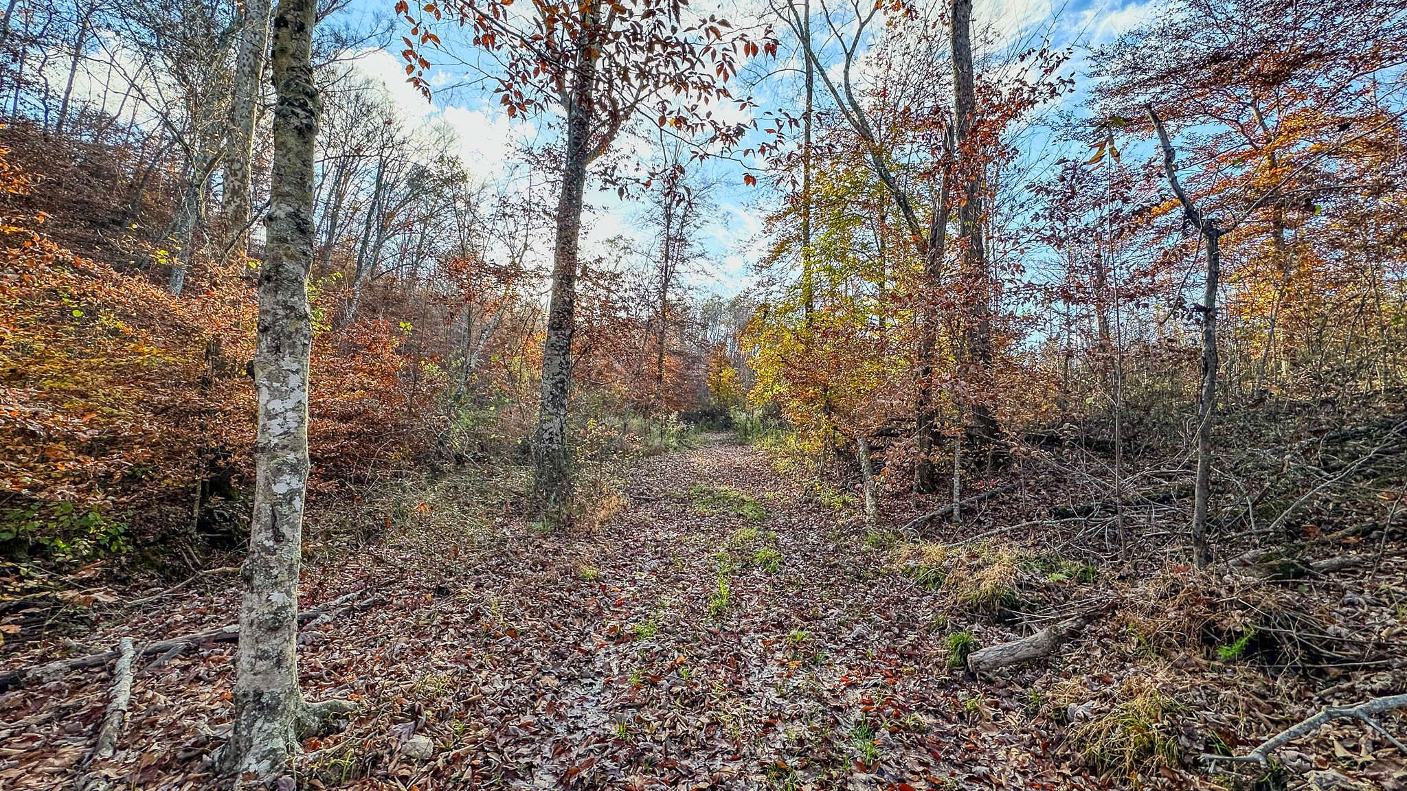 0 Lick Creek Road Property Photo 15