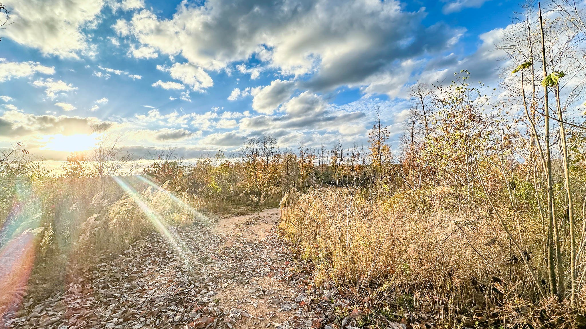 0 Lick Creek Road Property Photo 17