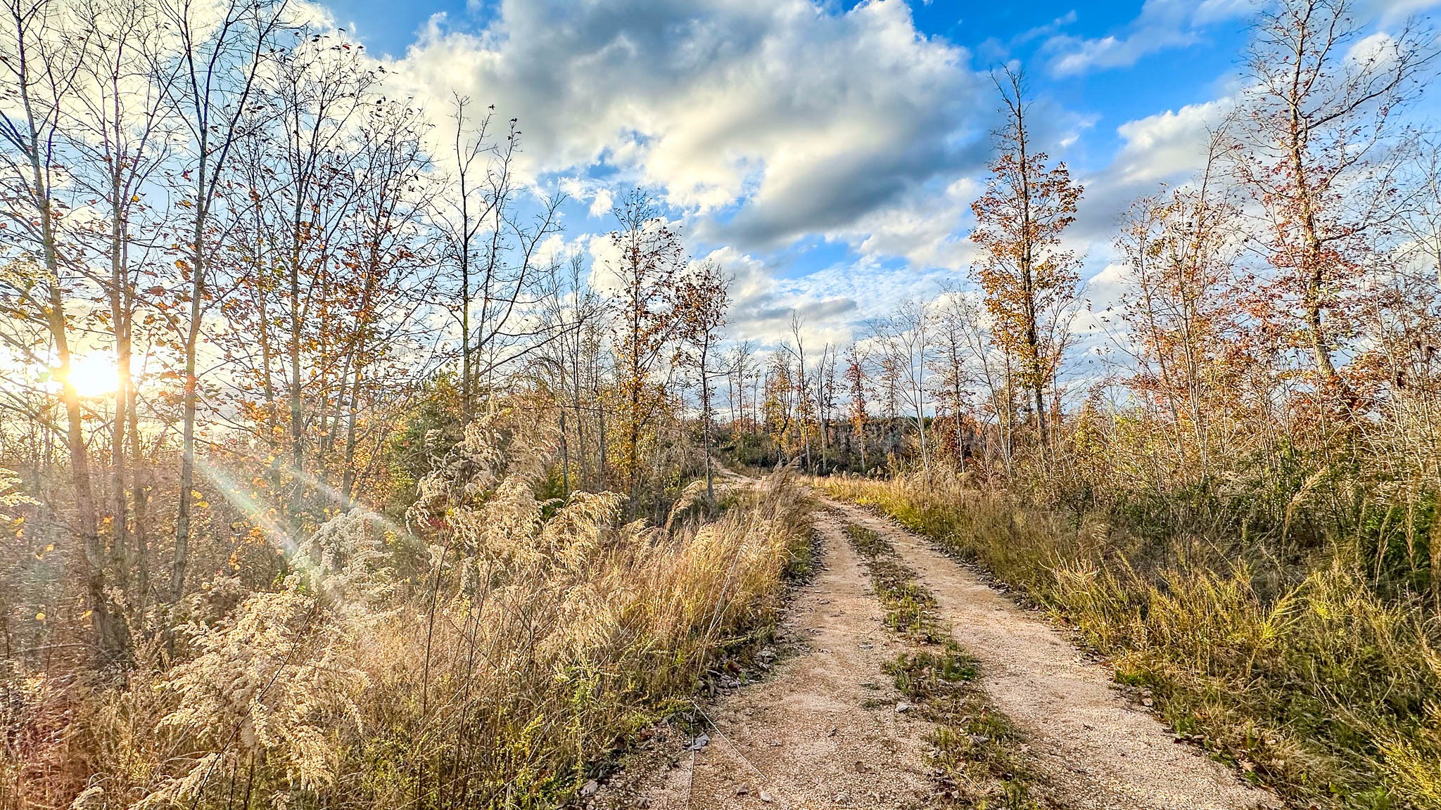 0 Lick Creek Road Property Photo 18