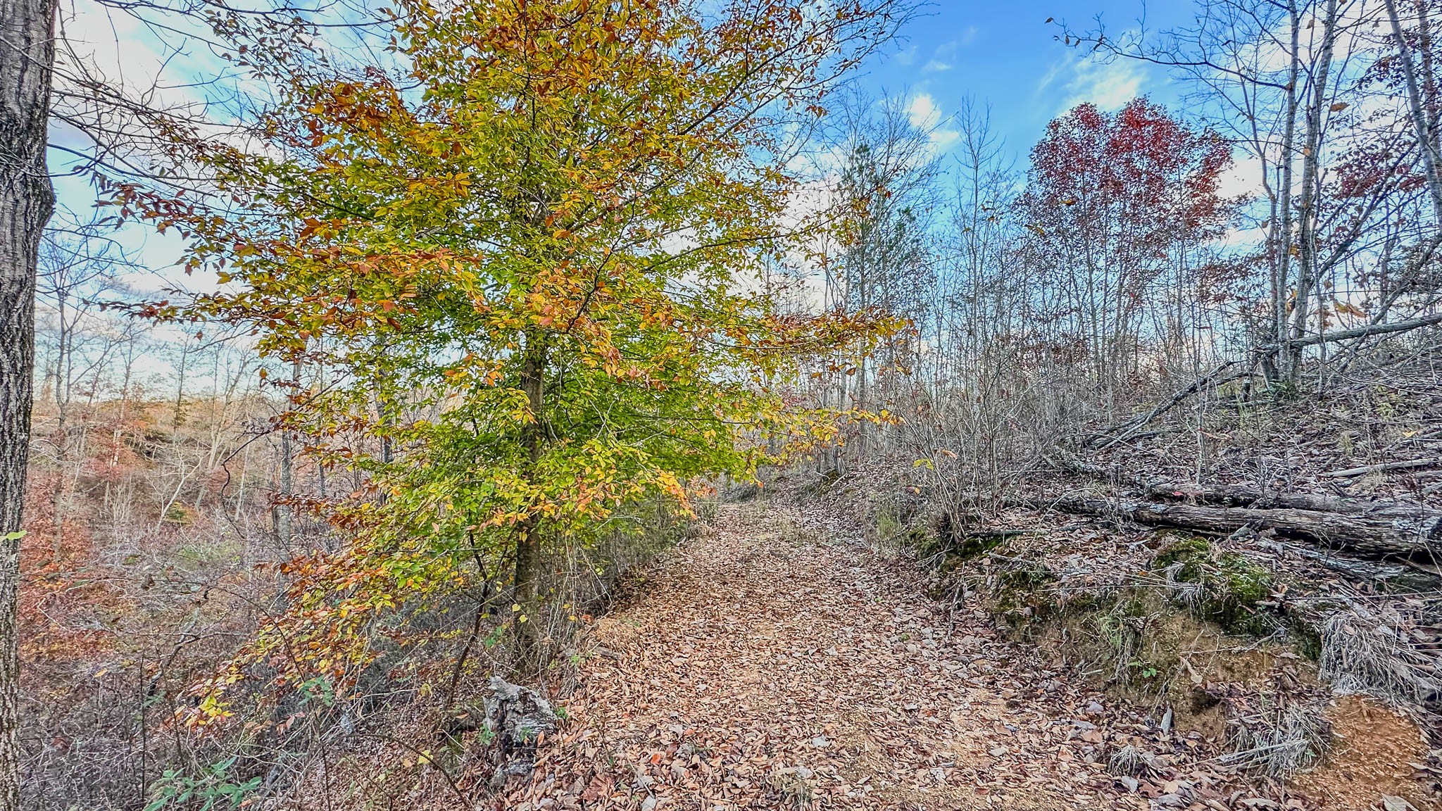 0 Lick Creek Road Property Photo 19