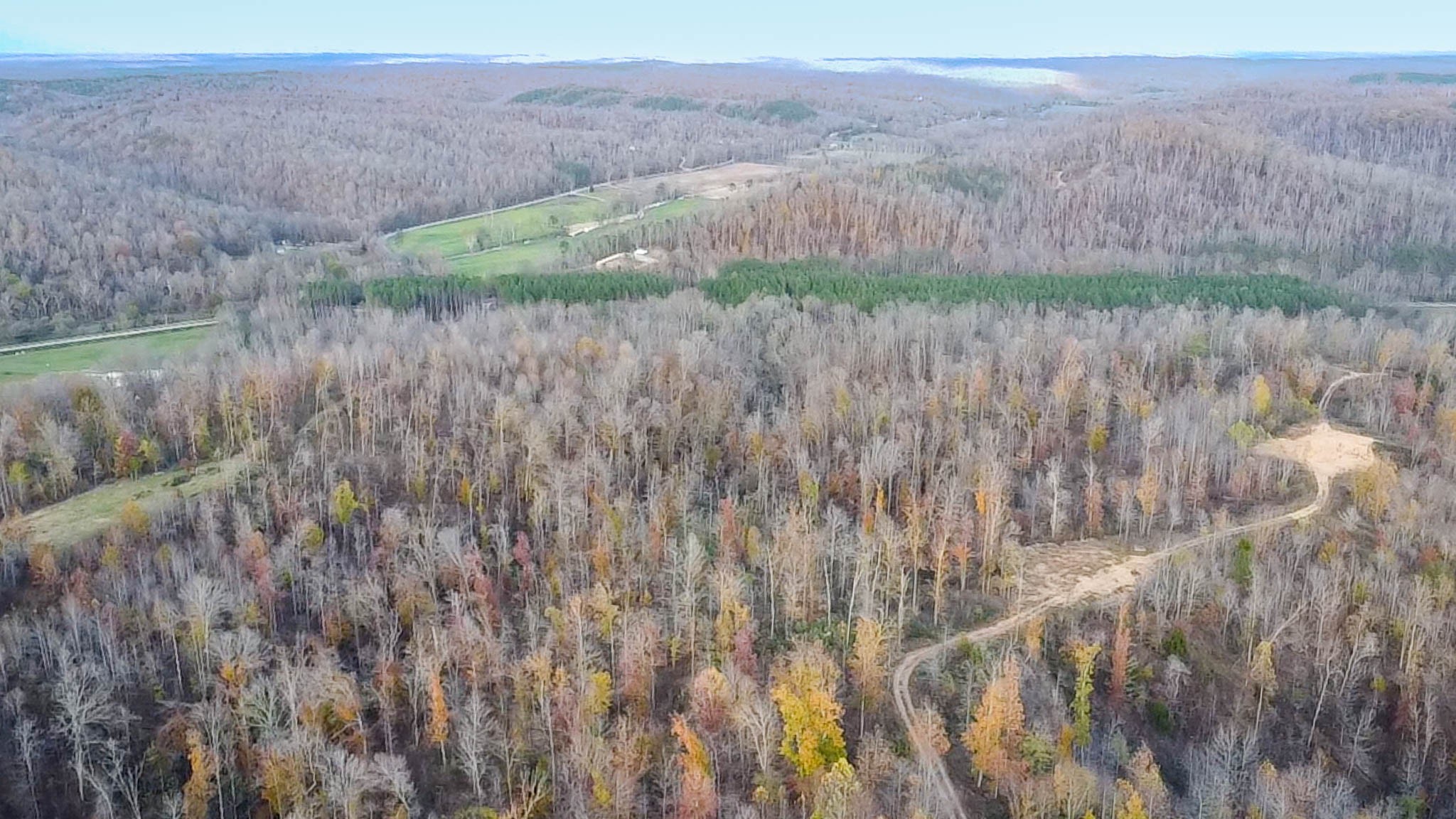 0 Lick Creek Road Property Photo 21