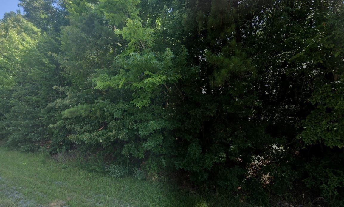 0 First Street, W Property Photo 2