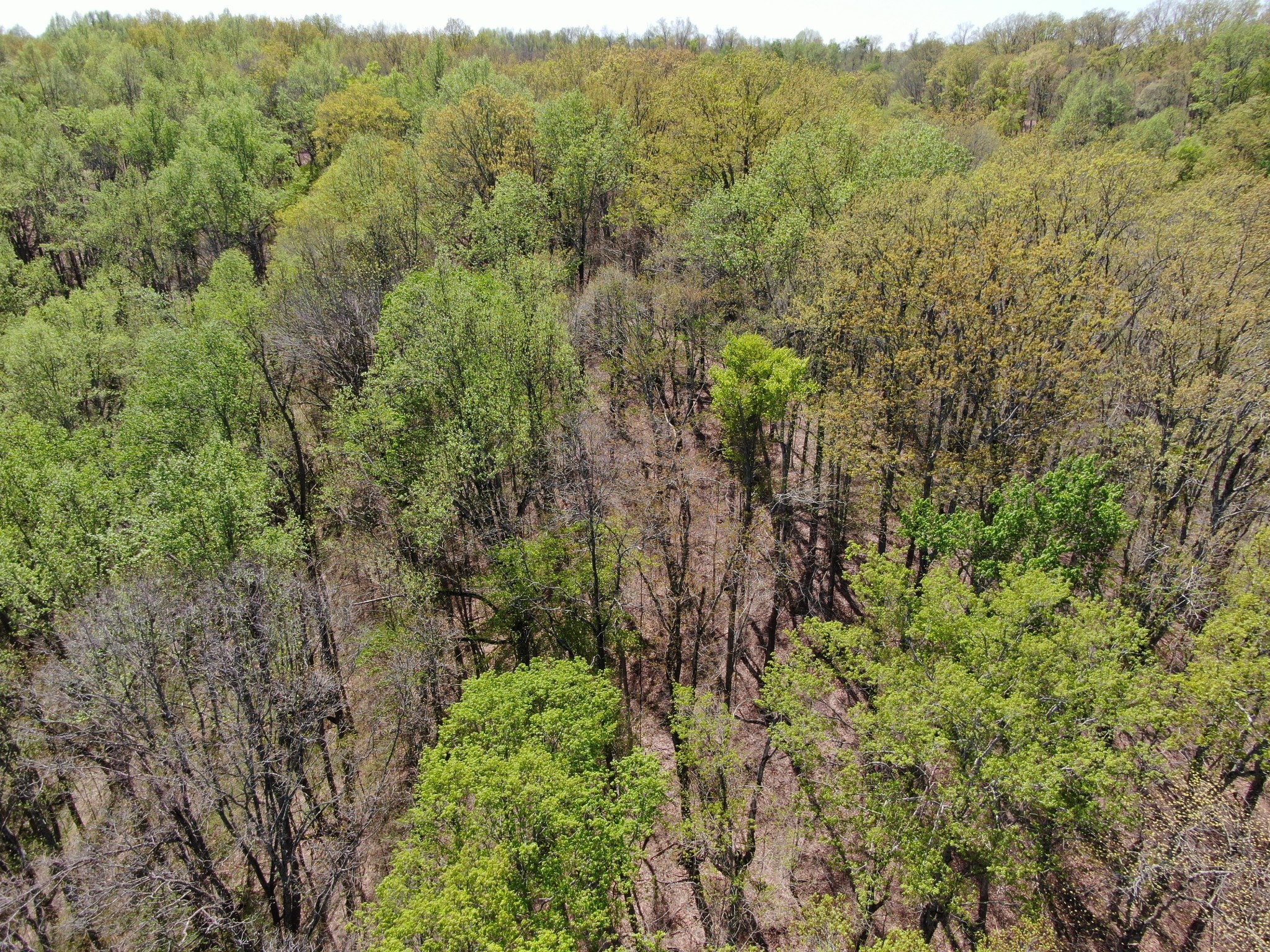 0 Wilmouth Creek Rd Property Photo 11