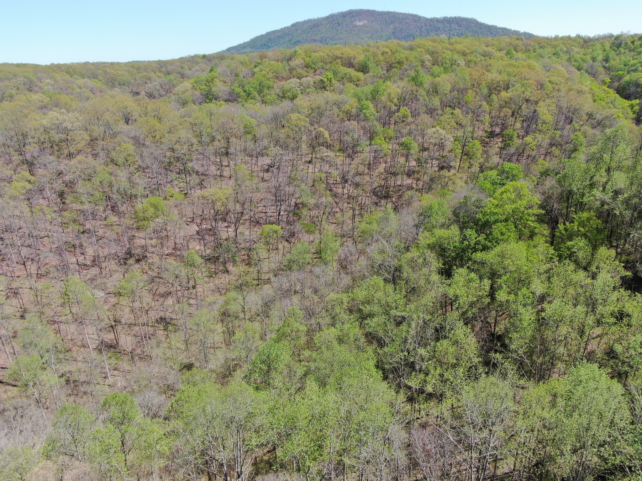 0 Wilmouth Creek Rd Property Photo 14