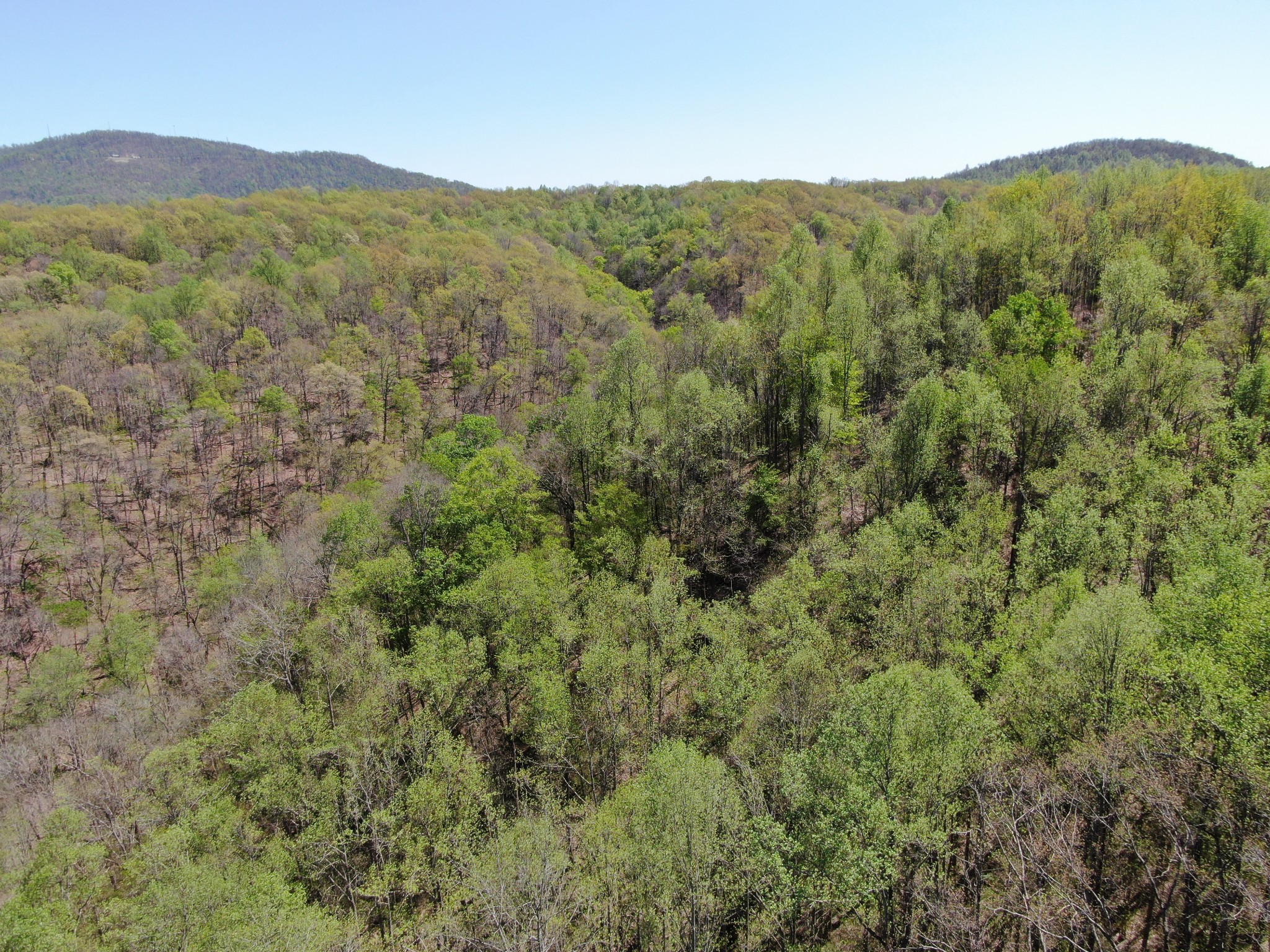 0 Wilmouth Creek Rd Property Photo 15