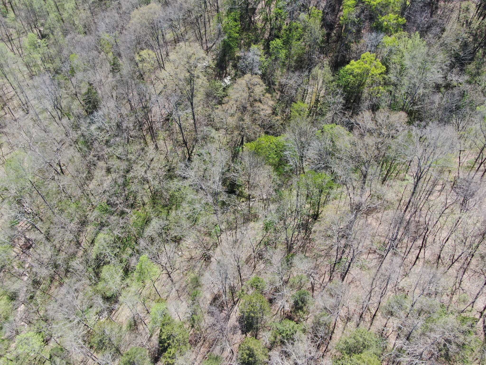 0 Wilmouth Creek Rd Property Photo 16
