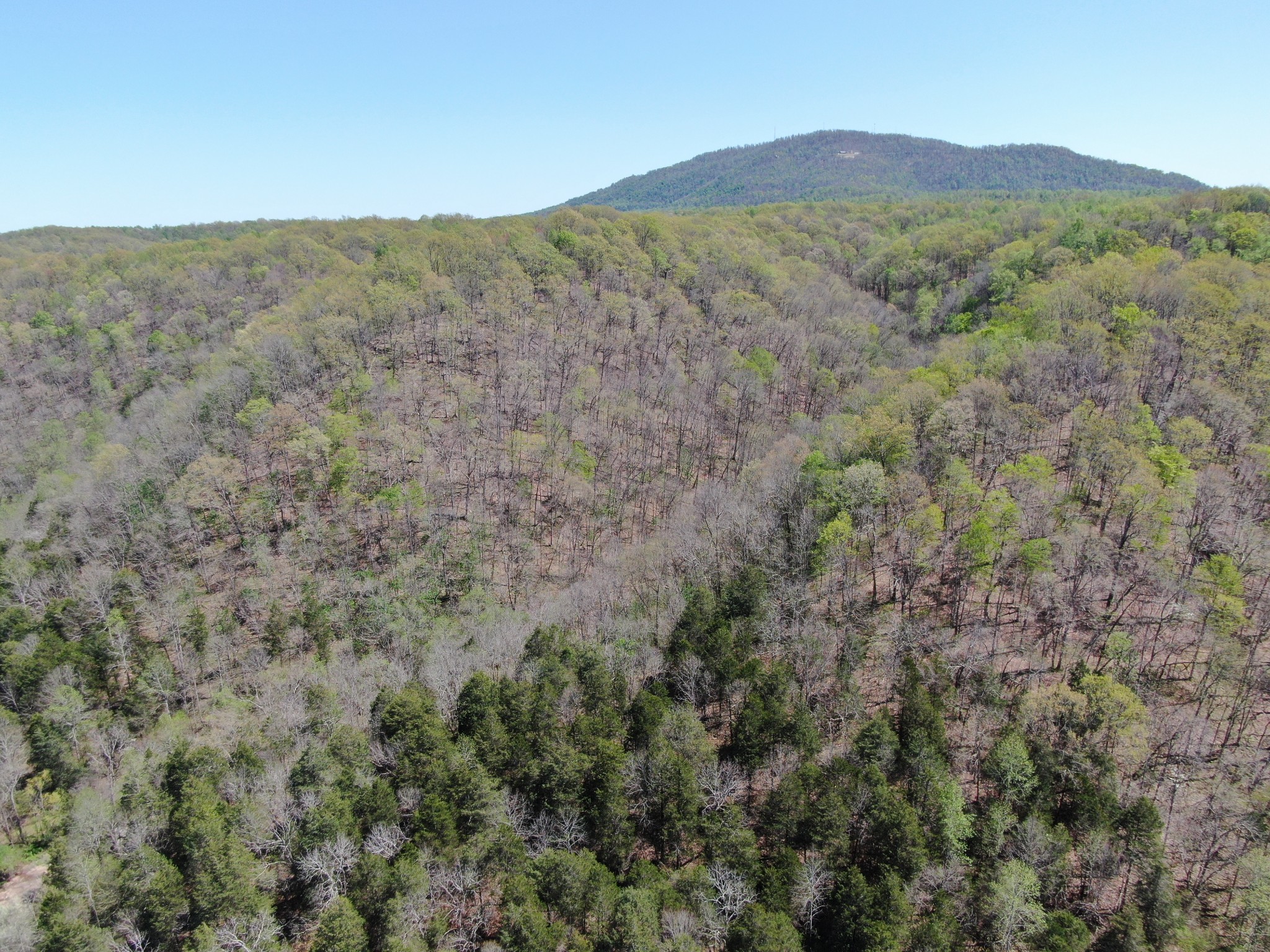 0 Wilmouth Creek Rd Property Photo 23