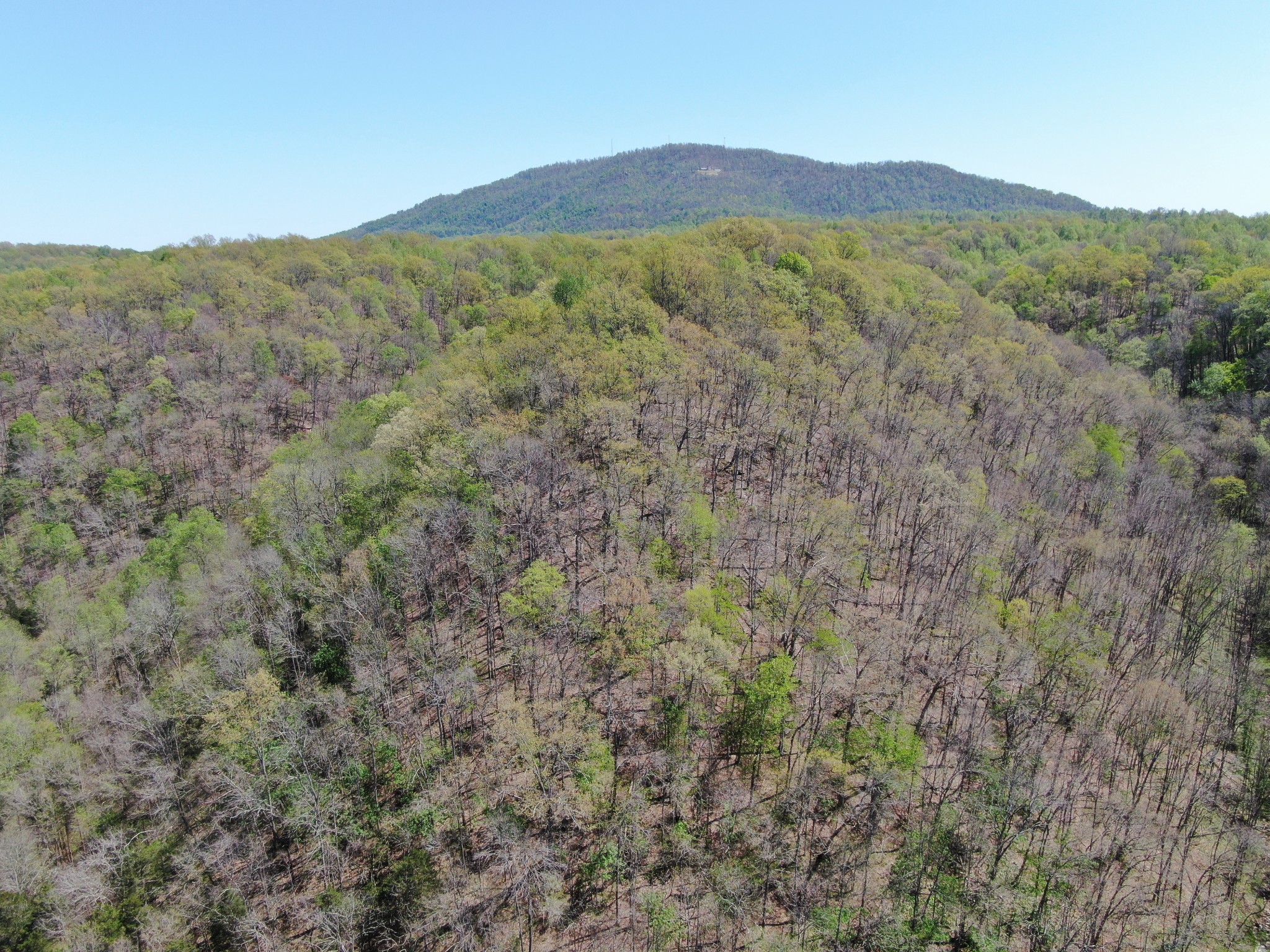 0 Wilmouth Creek Rd Property Photo 30