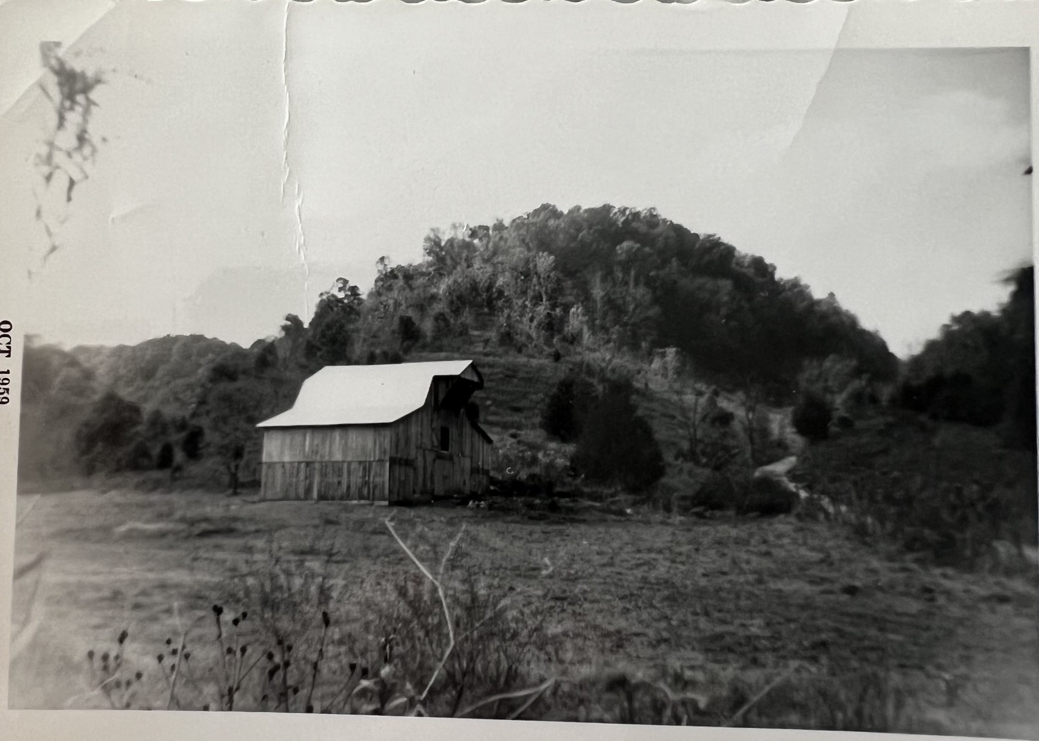 0 Wilmouth Creek Rd Property Photo 49