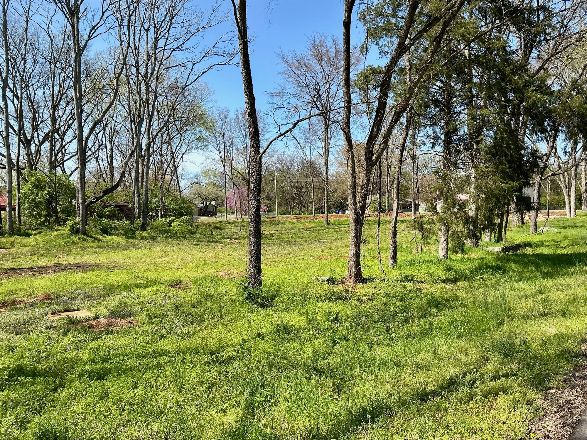 815 Raines St Property Photo 4