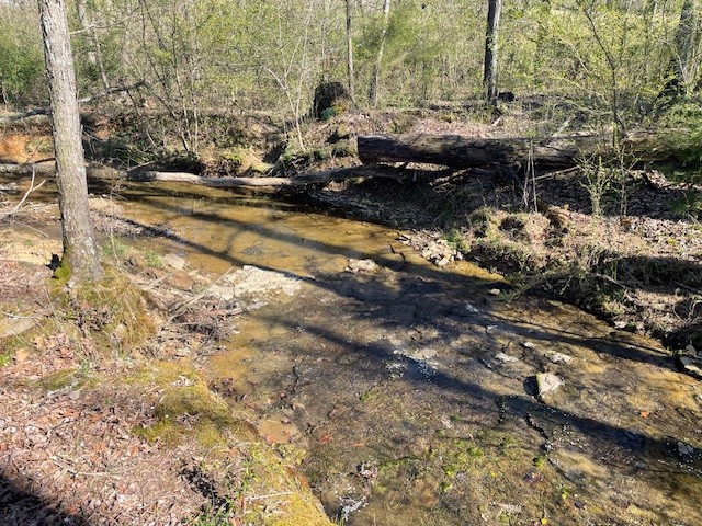 1931 Dibrell Lucky Rd Property Photo 4