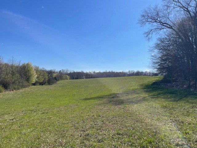 1931 Dibrell Lucky Rd Property Photo 15