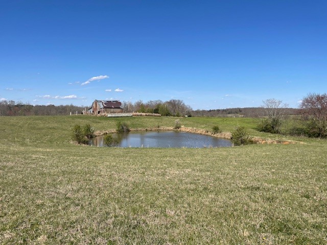 1931 Dibrell Lucky Rd Property Photo 17