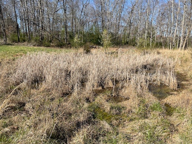1931 Dibrell Lucky Rd Property Photo 24