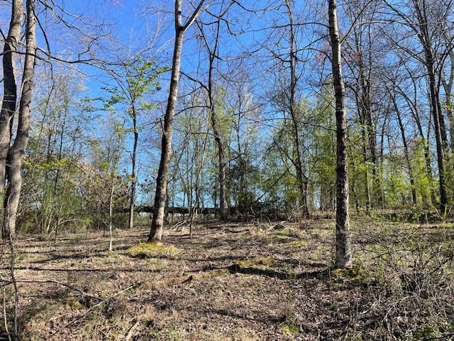 1931 Dibrell Lucky Rd Property Photo 26