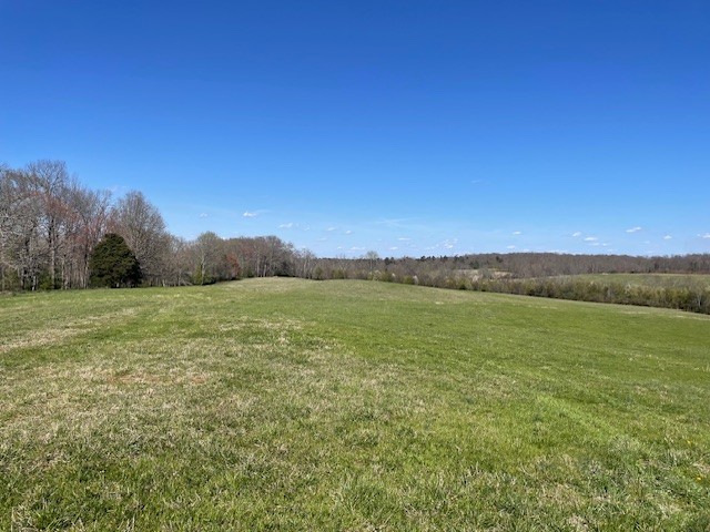 1931 Dibrell Lucky Rd Property Photo 1