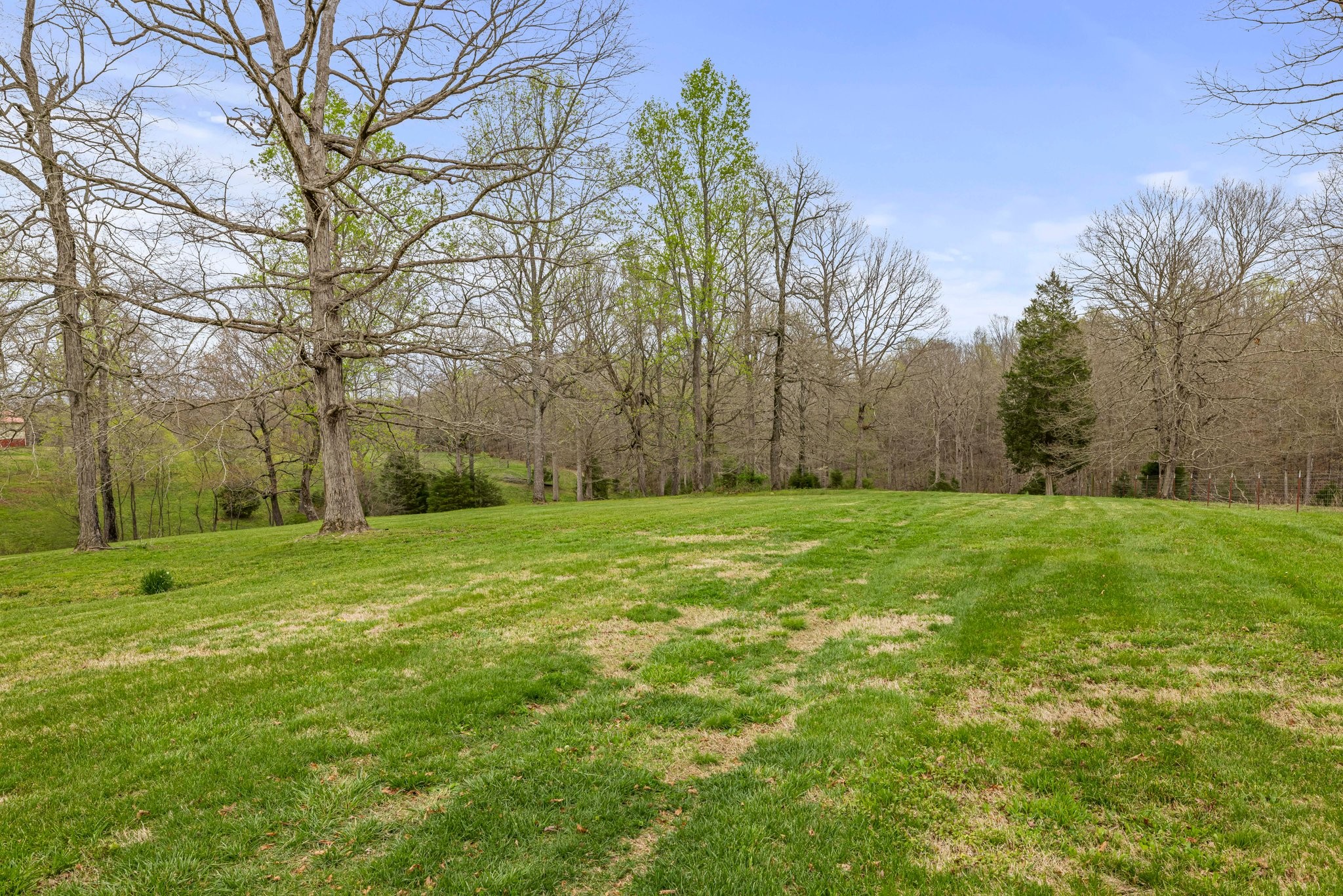 620 Williamson County Line Rd Property Photo 66