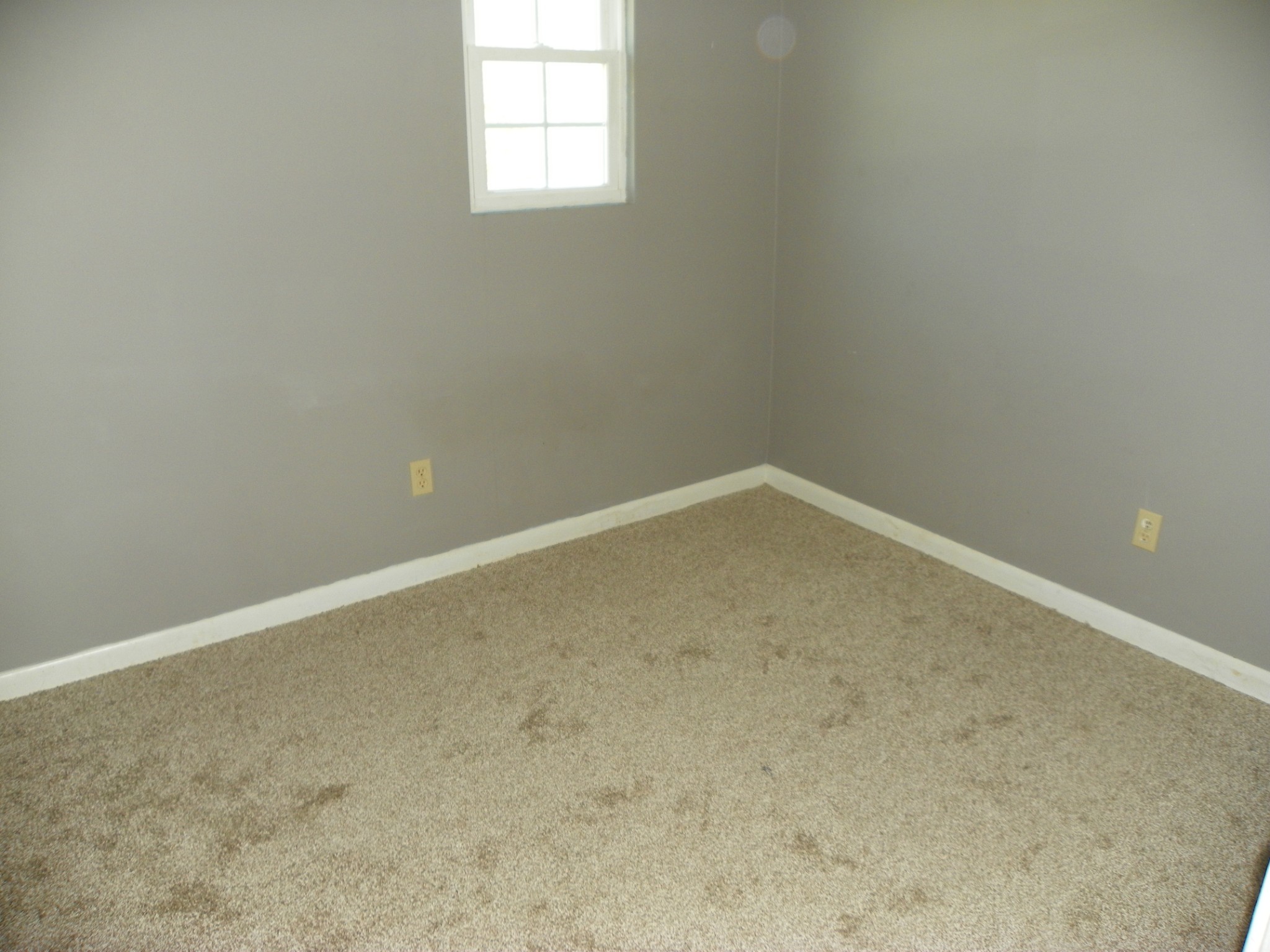 306 Doug Luna Rd Property Photo 5